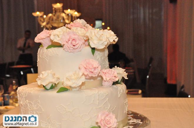 תמונה גדולה